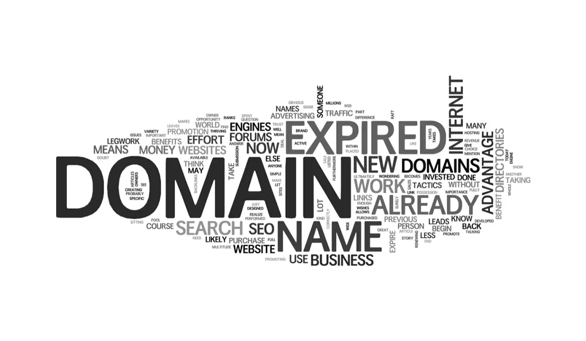 Perbedaan Aged Domain dan Expired Domain